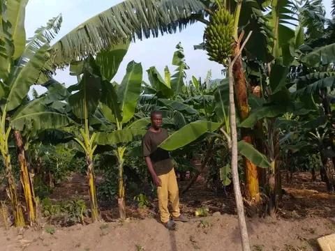 Joshua Kevins standing in a banana plantation